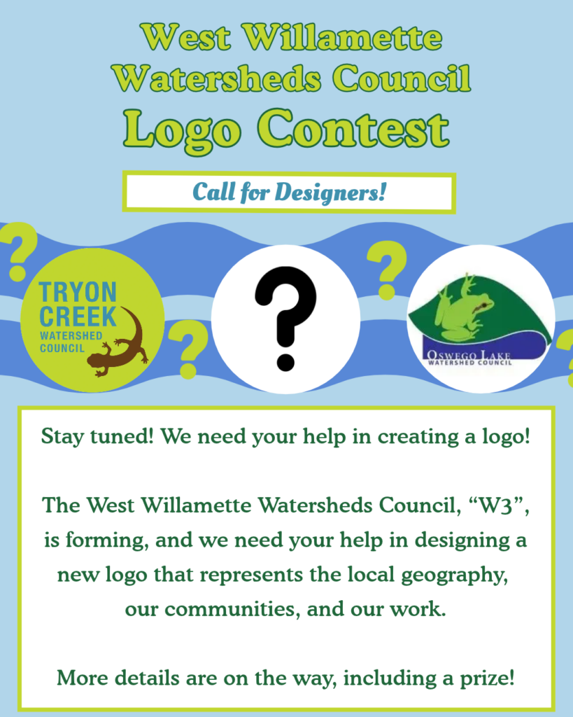 W3 Logo Contest Flyer